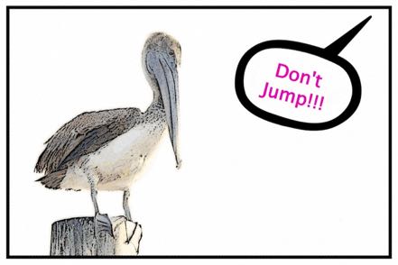 Don't Jump!