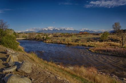 Campsite View