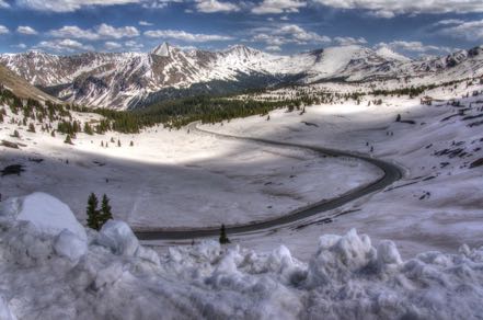 Snowy Landscape