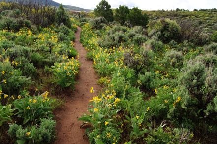 North Vista Trail