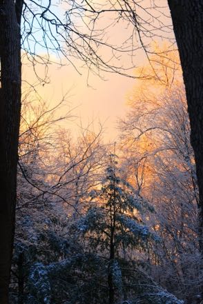 Winter Sky