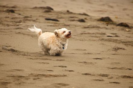 Running Madeline