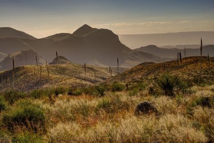 Big Bend Scenic 1