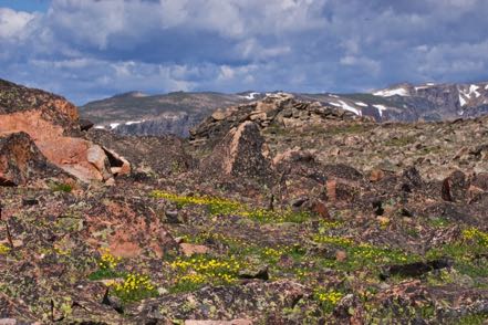 Bear Tooth Scenic 2