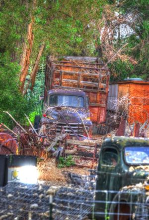Old Truck 5