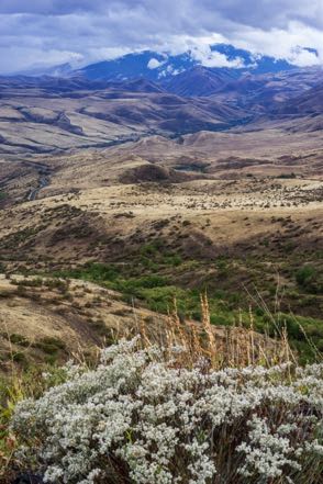 White Bird Scenic