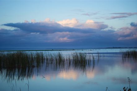 Lake Apopka