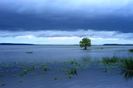 Lake Seminole from Eastbank