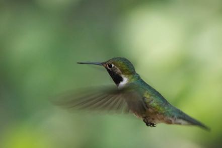 Flying Hummer